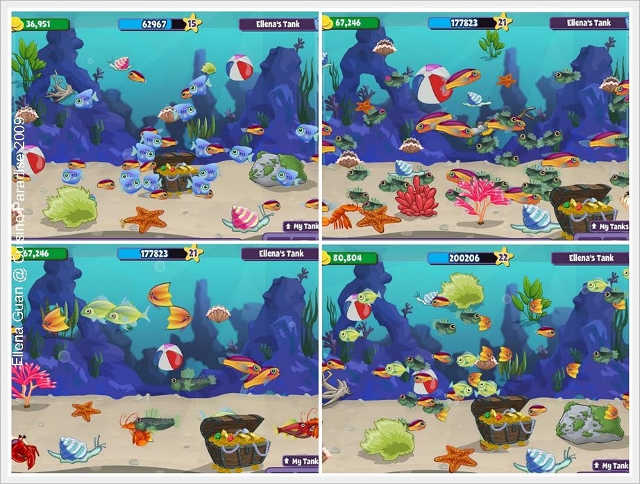 Cuisine Paradise Eat, Shop And Travel November 2009