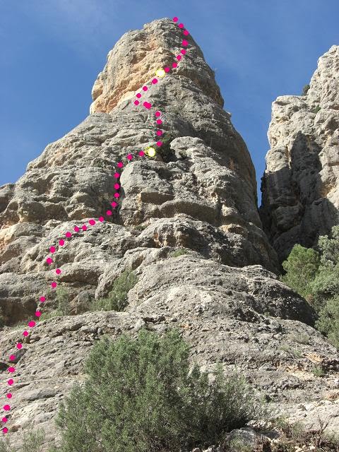 [VARIES+2008+078[1].JPG]