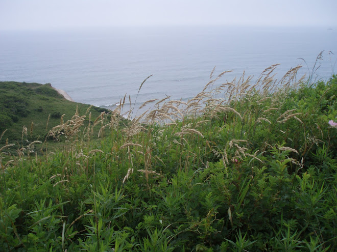 Science: APA Style Manual