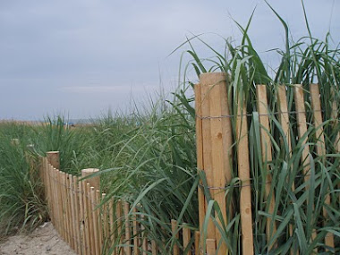 The Beach at Rehoboth