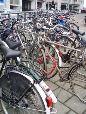 Bicycles in Holland