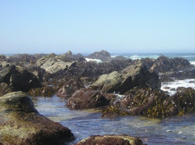 Isla Negra, Chile