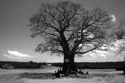 Quissanga, Cabo Delgado, Moçambique, Outubro de 2008