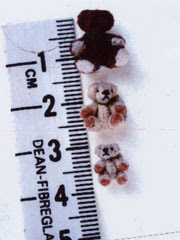 World's Smallest Teddy Bear