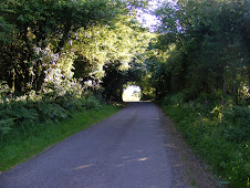Narrow road near the house