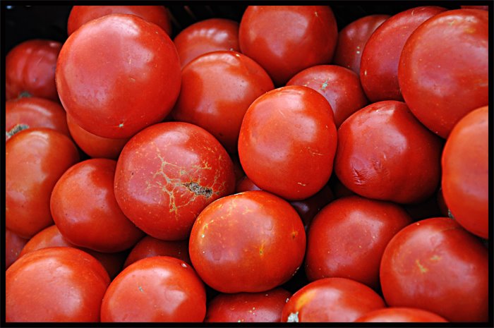 [Tomatoes.jpg]