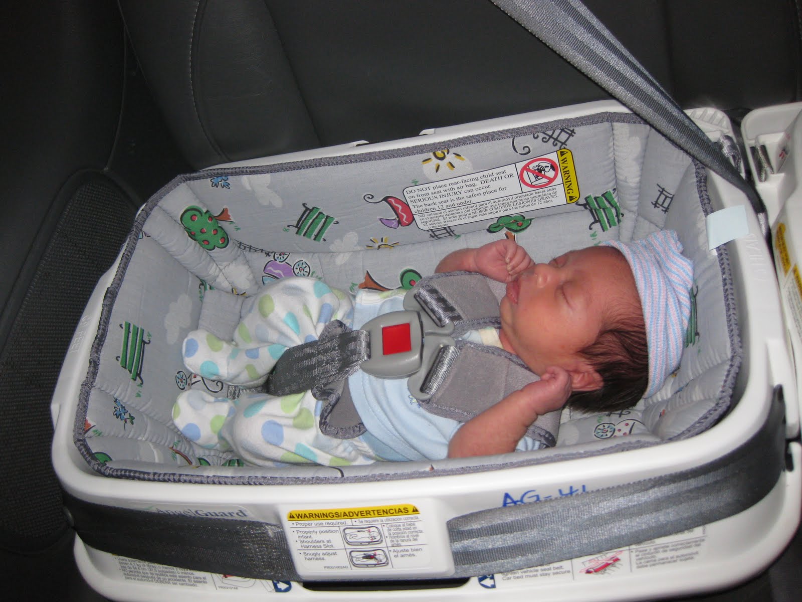 infant car bed for preemies by angel guard