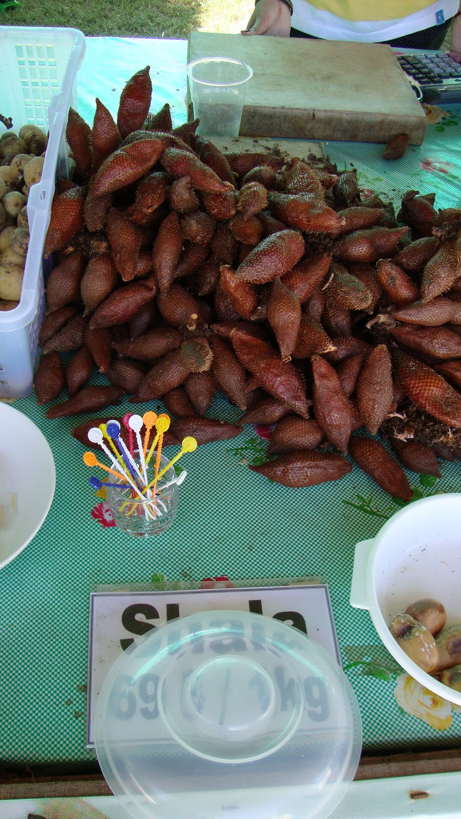 [DSC04432.JPG]