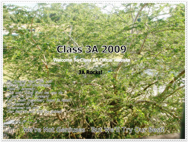 Class 3A 2009