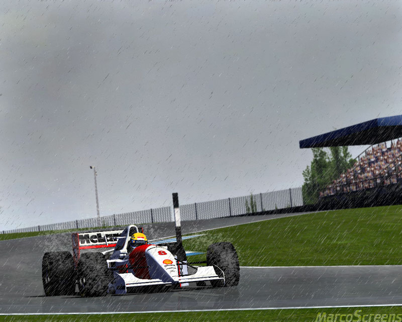 Ayrton-Senna-Donington-1993.jpg