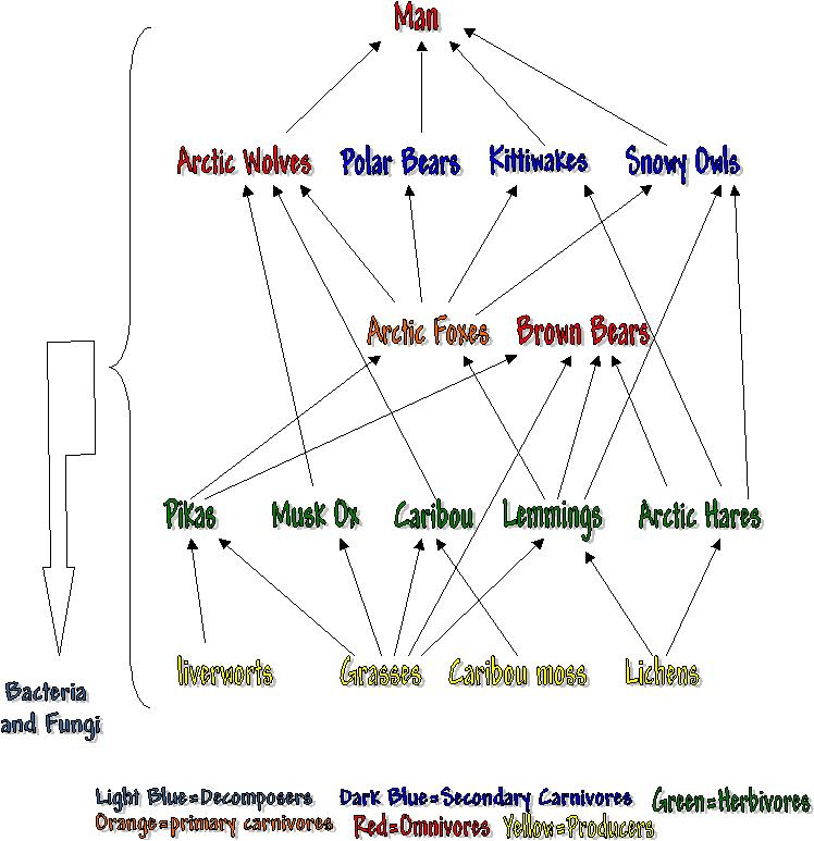 Biology help: Tundra climate