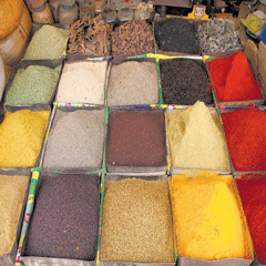 [12BHASKAR--03-09-st-021.gif]