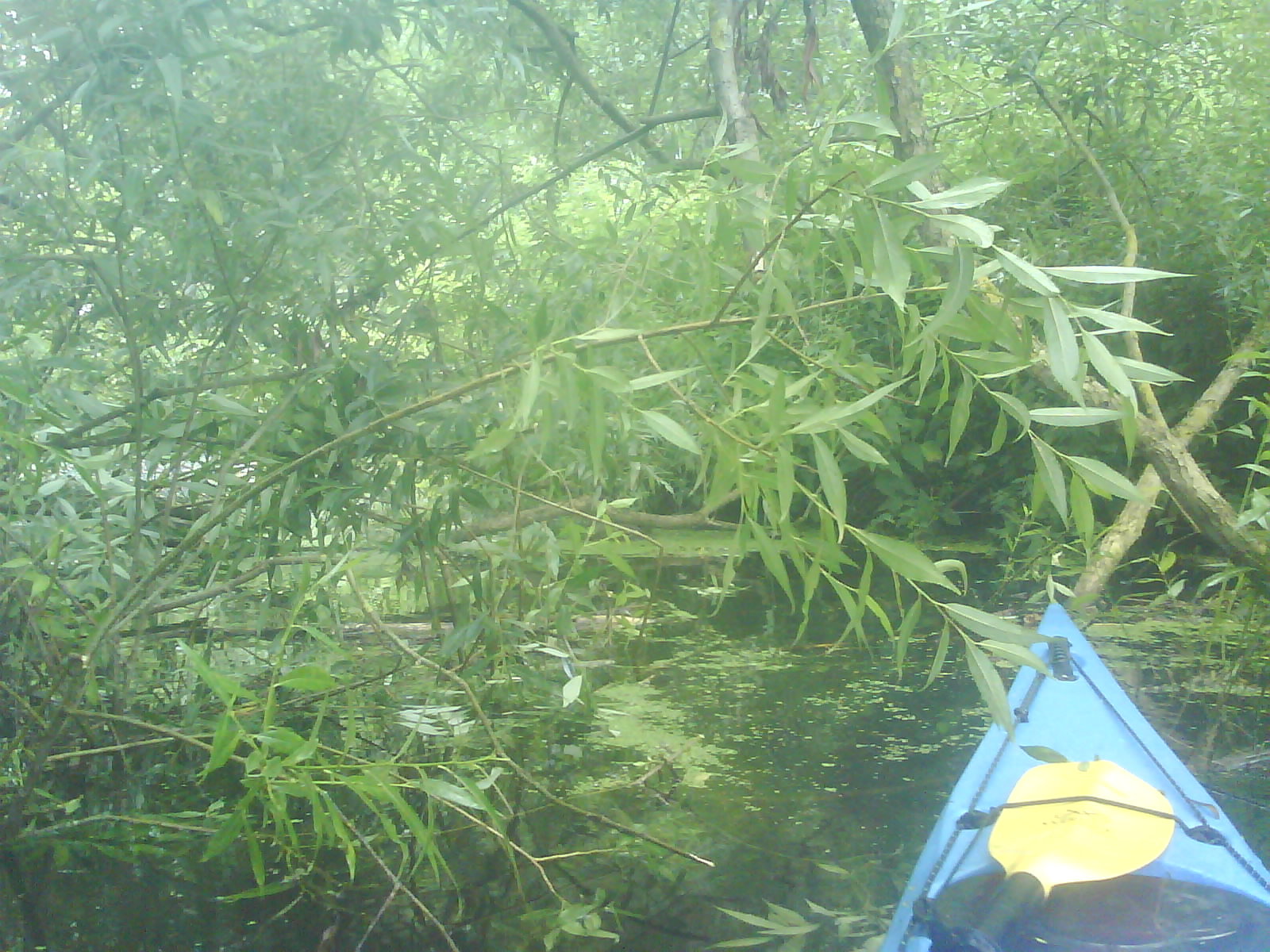 [DSC01838.JPG]