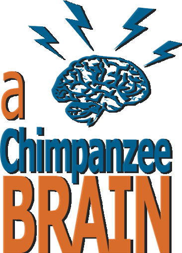 A chimpanzee brain