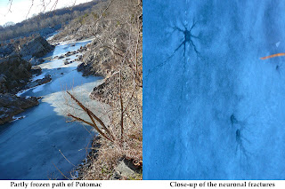 fractures on ice