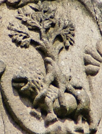 [DSC06100.jpg]