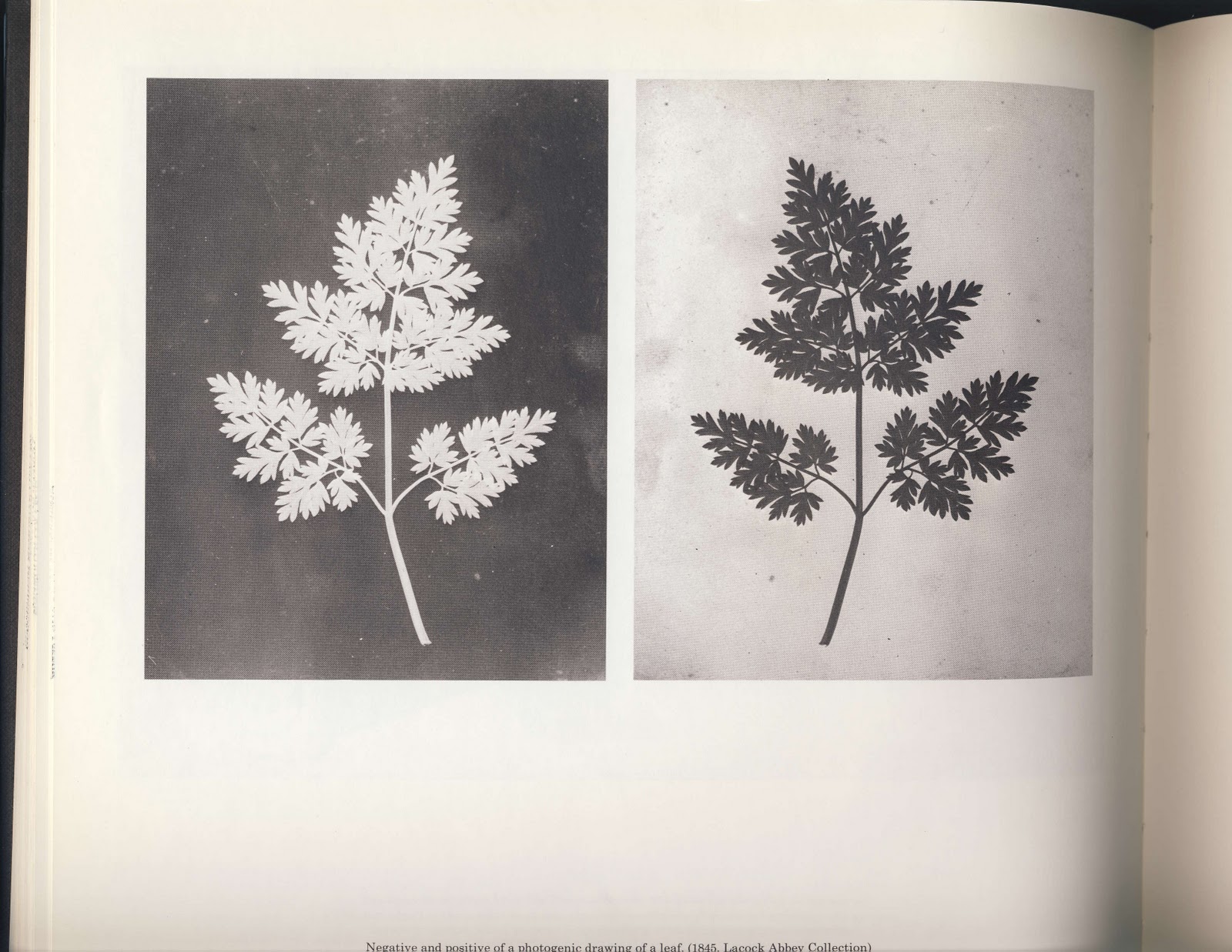 William Henry Fox Talbot