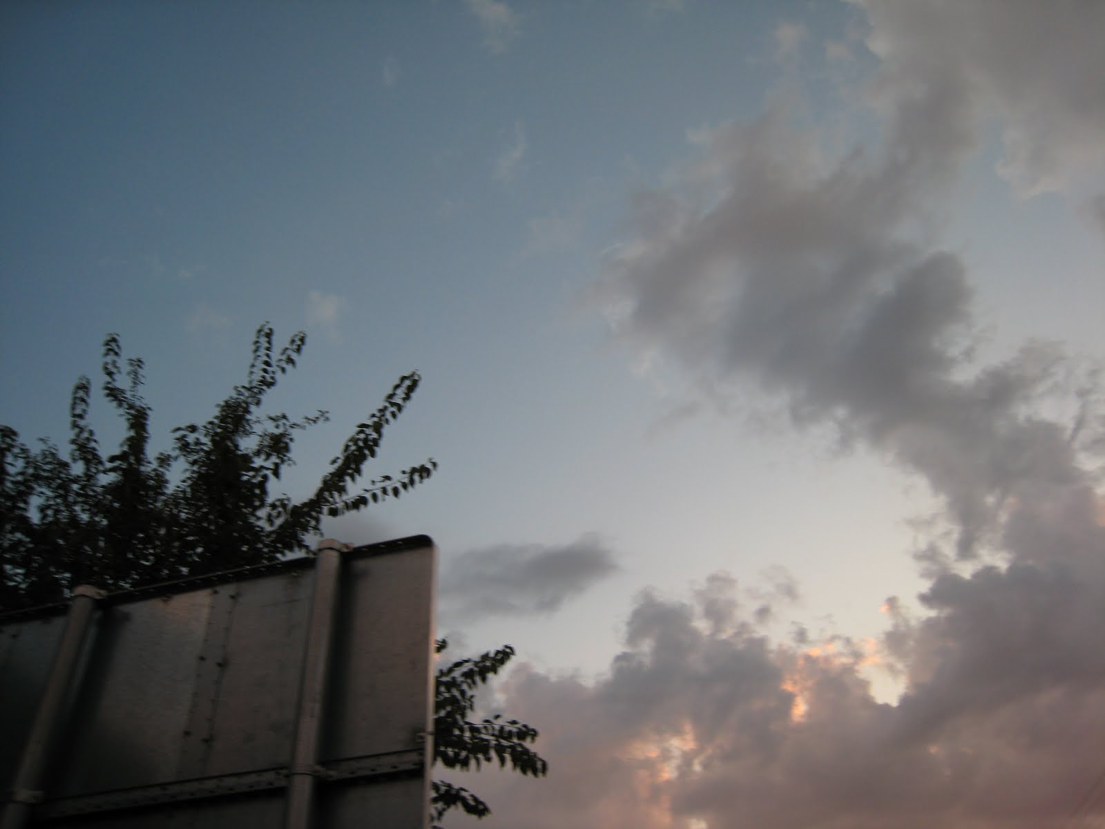 [IMG_0968.JPG]