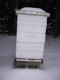 [013010+Snow+Beehives+004.jpg]