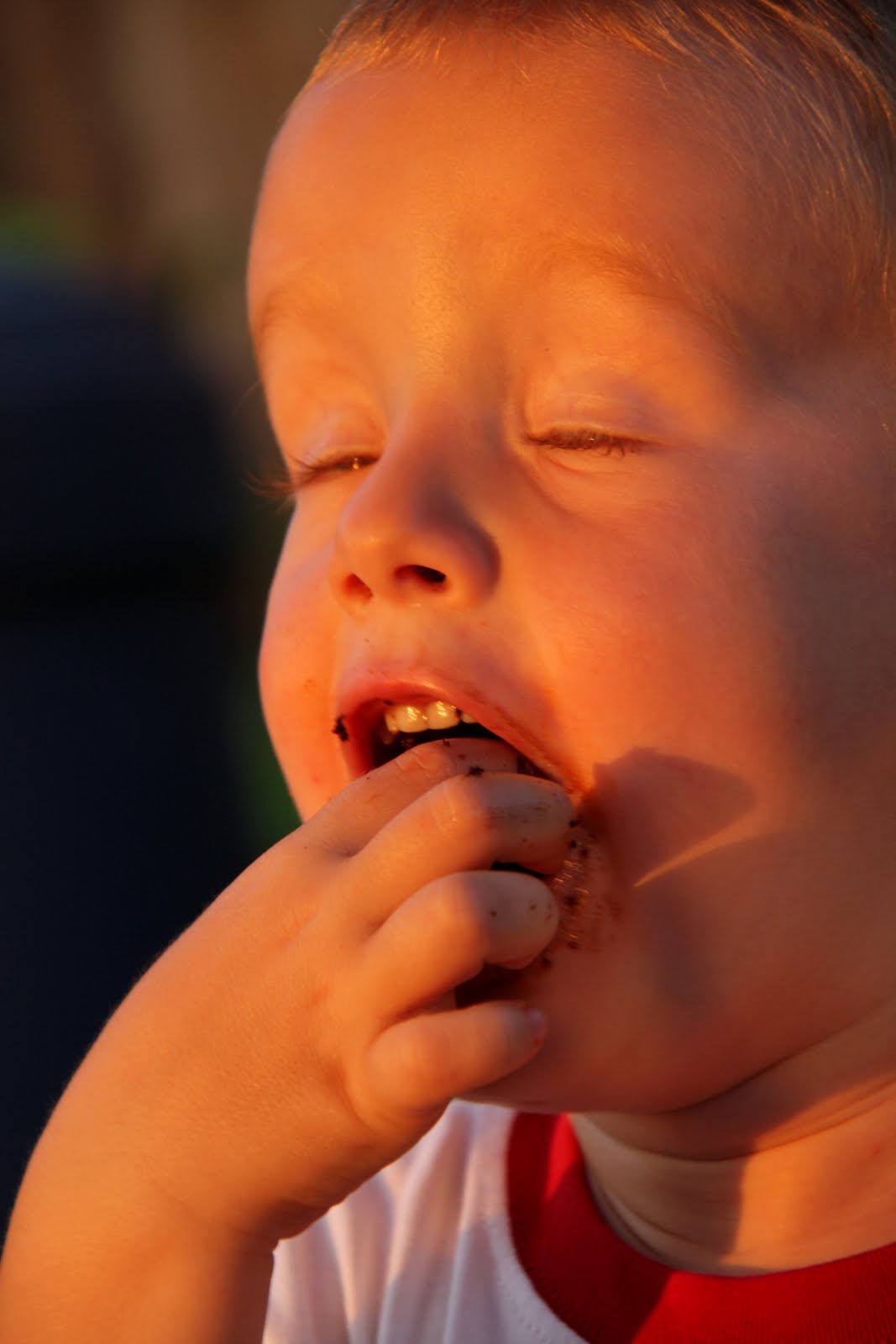 [Jack+eating+cake.jpg]