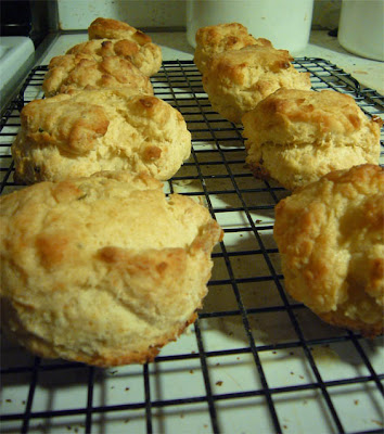 parmesan buttermilk biscuits