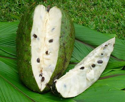 sour sop sour sop