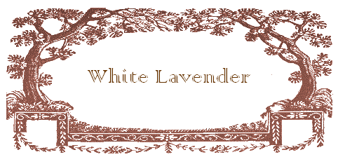 The White Lavender