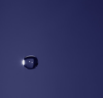 bild von blaueaster