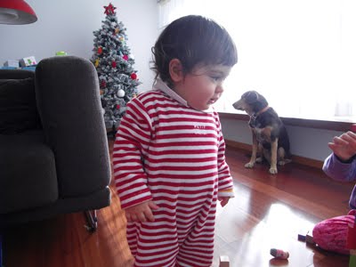 [SDC13120.JPG]