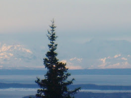 Mt. Susitna