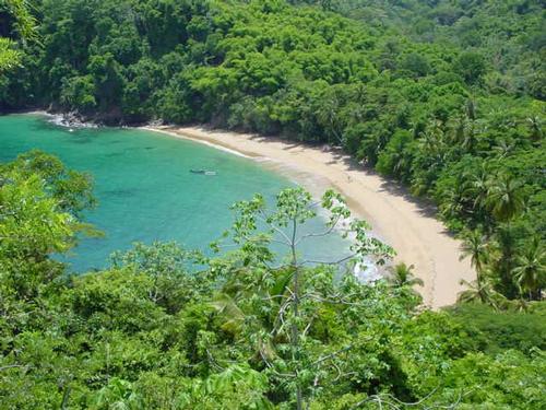[tobagobeaches02.jpg]