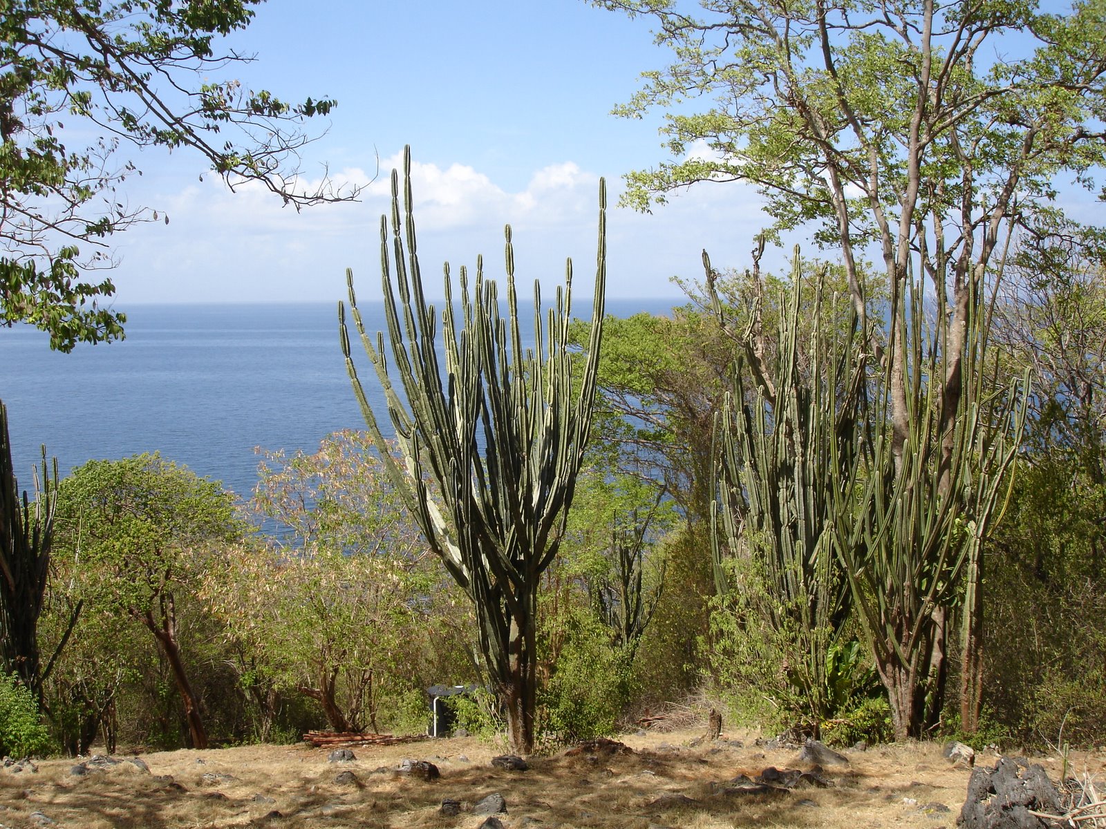 [DSC02716.JPG]