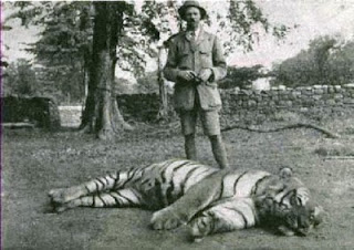 The Champawat Tigress