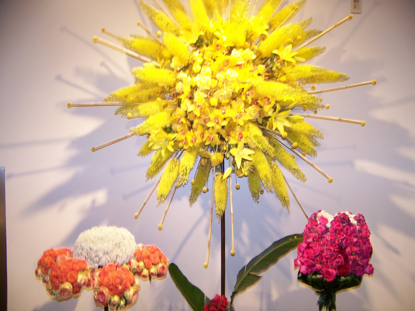 [05-02-2009+085.JPG]