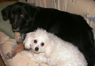 Zak and Tic Tac