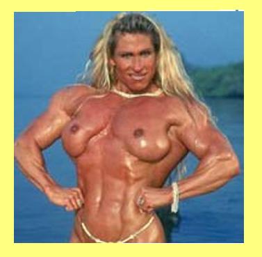 Asco 962 Transfer Switch Manual Asco 962 Transfer Switch Manual