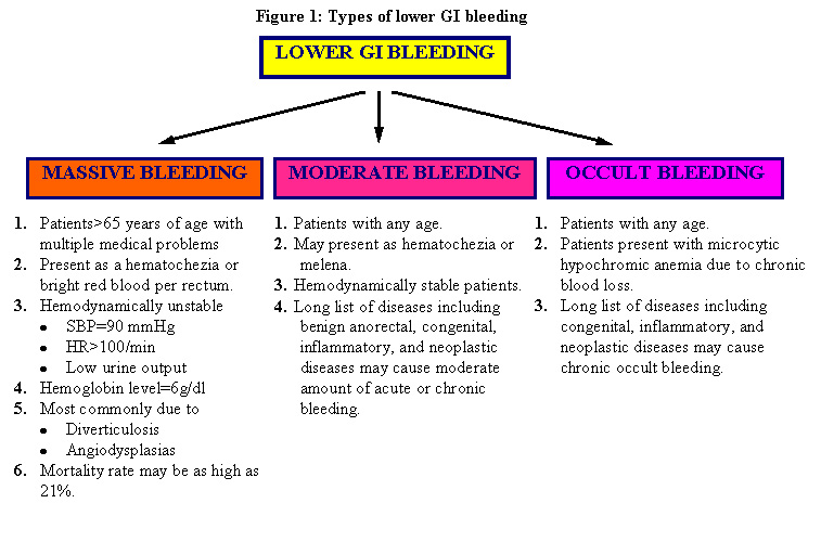 Dr.Wesal Lower GI bleeding workup