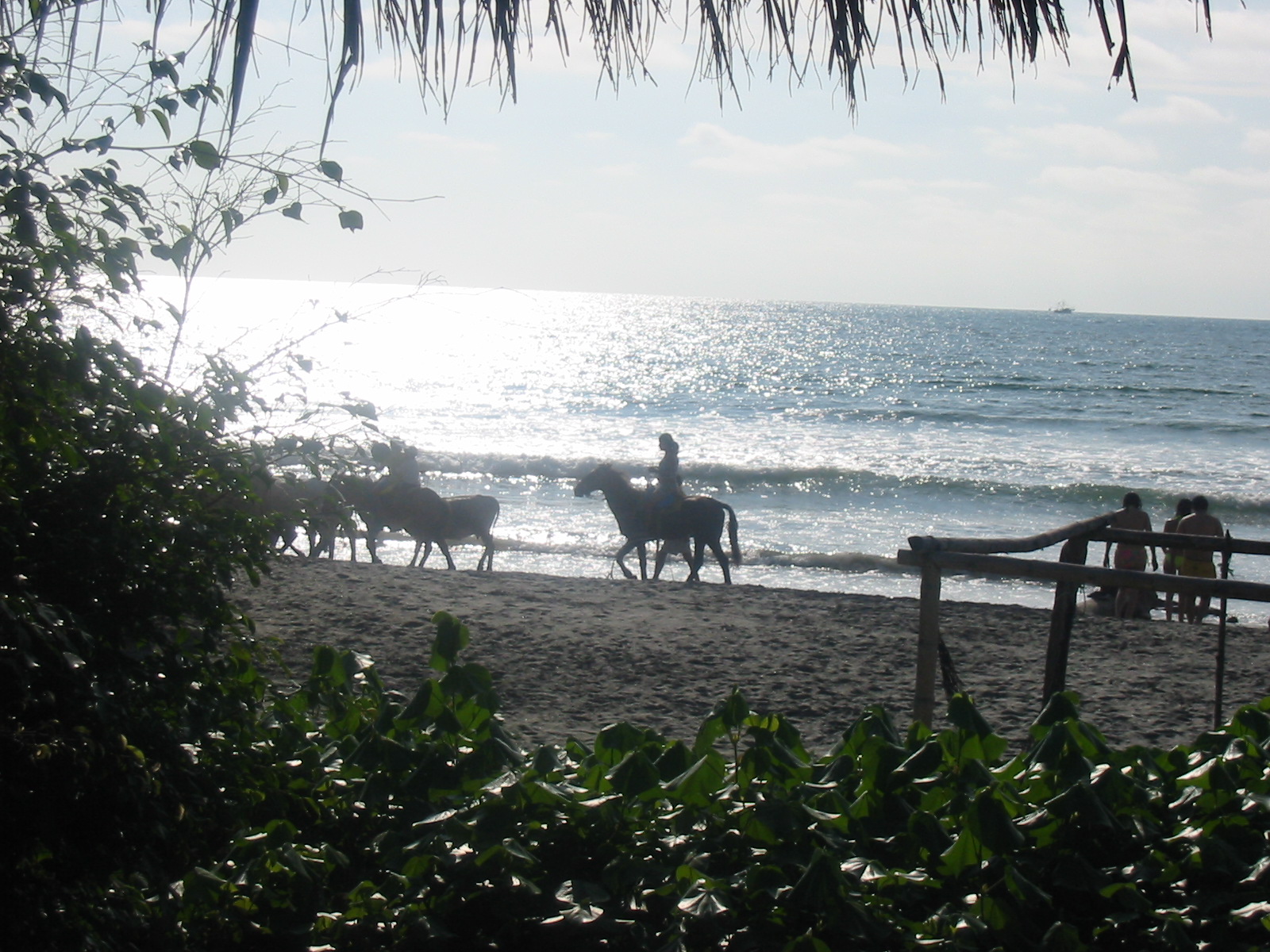 Ecuador Scenery