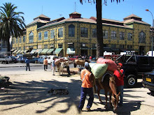 Mercado El Cardonal
