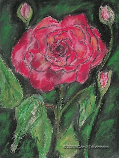 Spring Beauty Rose by Cori Solomon