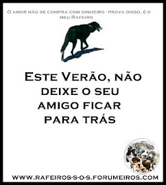 O abandono de animais é crime!