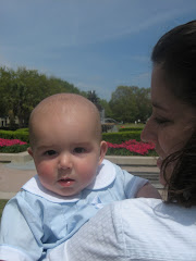 Field Trip to the Pineapple Fountain