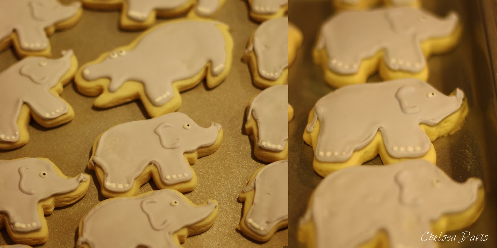 SSH Recipes Frosted Animal Cookies
