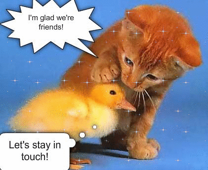 [cat-petting-bird-friends-glitter.gif]