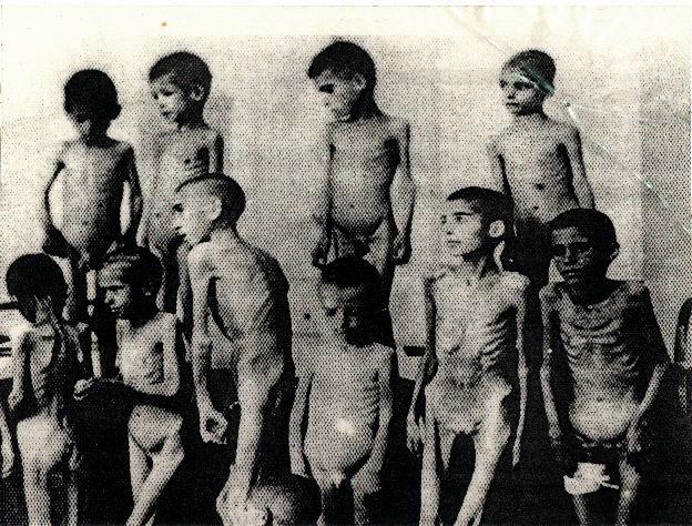 photos des camps de la mort, des ghettos, des prisonniers, des gardiens... Romani+children+in+Auschwitz%252C+victims+of+medical+experiments