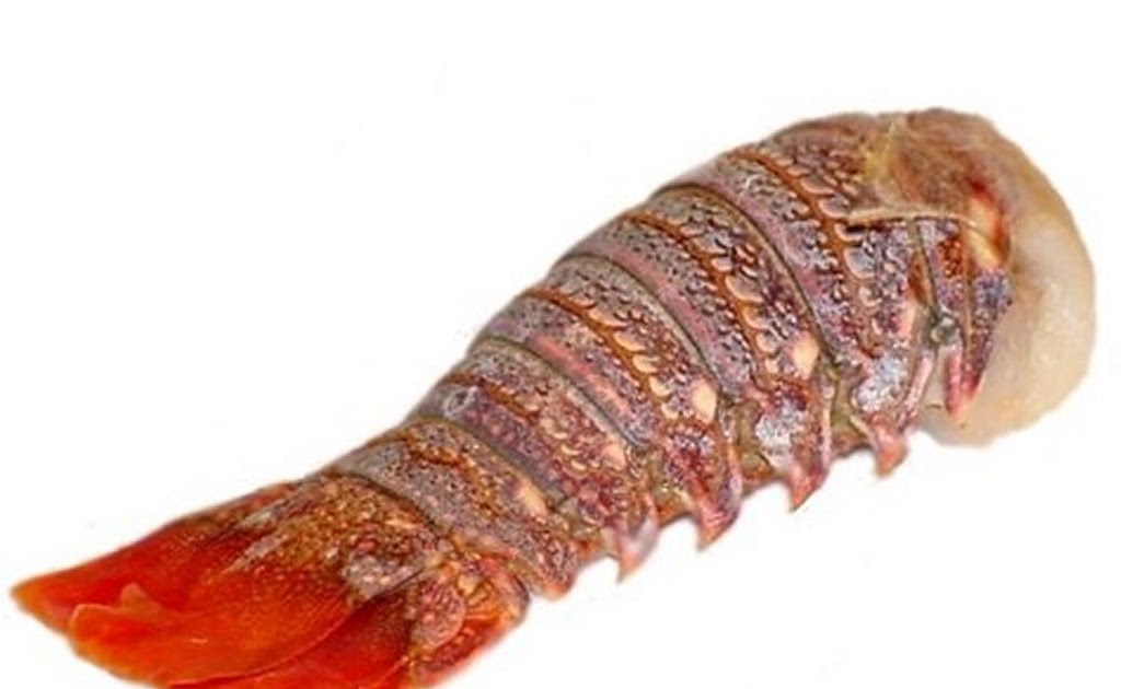 Cuba Journal Enchilado de Langosta