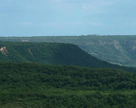 Serra do Araripe - Crato - Ceará - Brasil