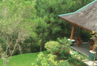 Dago House