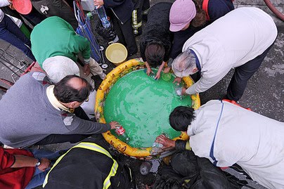 [bbec5b294789bbe704ecdf566c5c.jpeg]