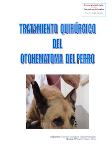 Tratamiento_quirurgico_del_otohematoma_del_perro Tratamiento+quirurgico+del+otohematoma+del+perro_P%C3%A1gina_01